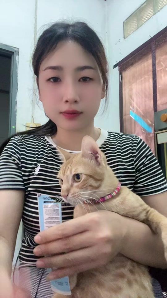 TikTok video thumbnail by saiy.8