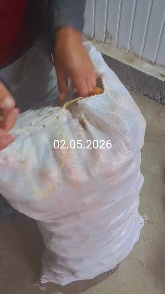 TikTok video thumbnail by user5043666404824