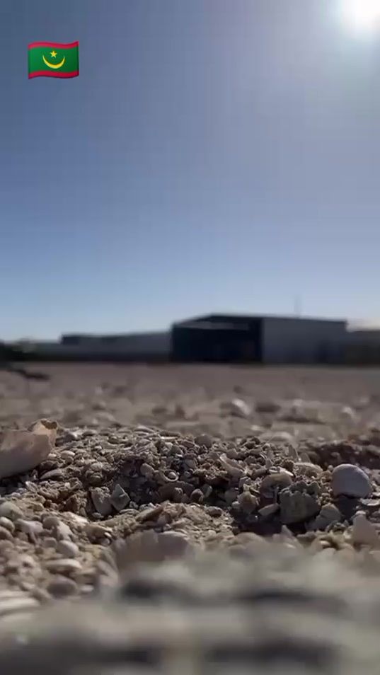 TikTok video thumbnail by wel.zayed
