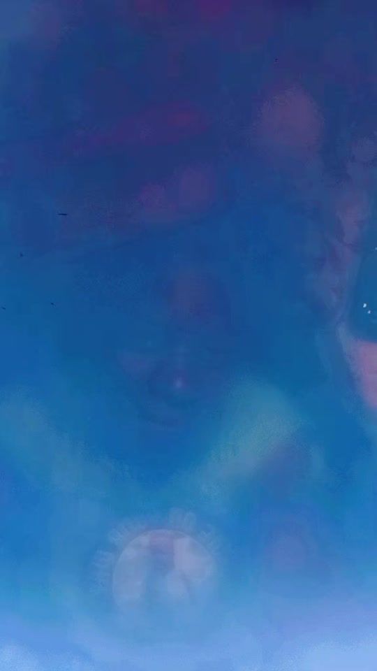 TikTok video thumbnail by mckwache6