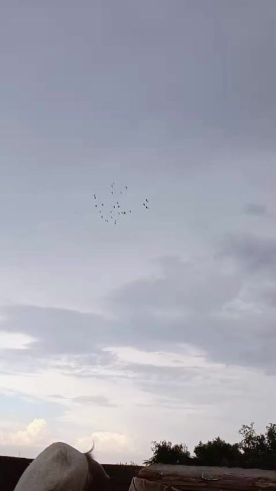 TikTok video thumbnail by javaidiqbaljava15
