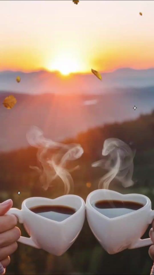 TikTok video thumbnail by gabilerena
