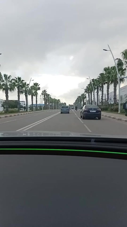 TikTok video thumbnail by ayafleur475