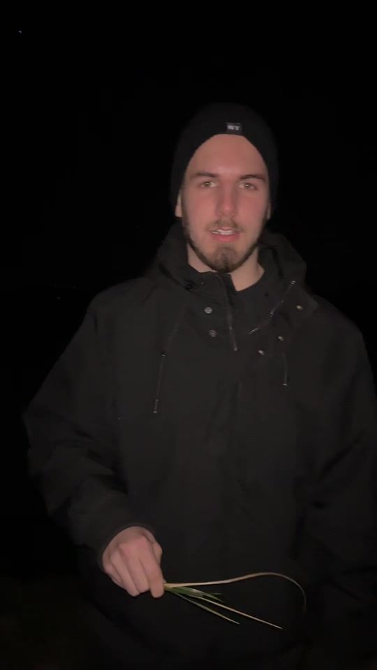 TikTok video thumbnail by mihajlovic_p