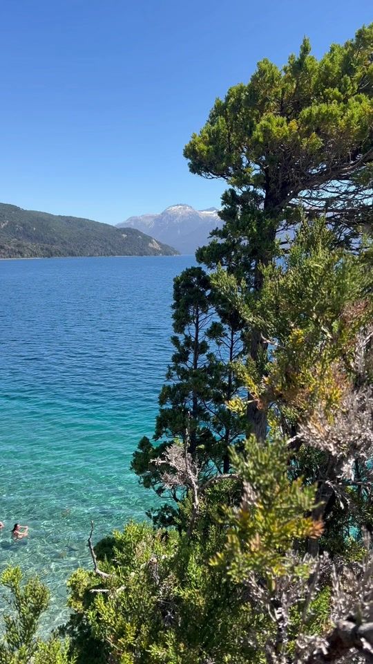 TikTok video thumbnail by chileaustral