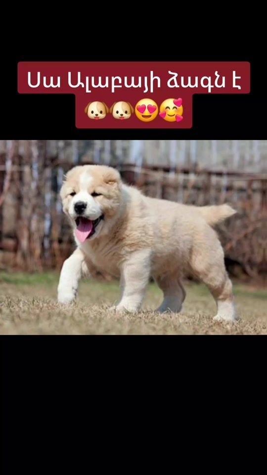 TikTok video thumbnail by scarytrue777