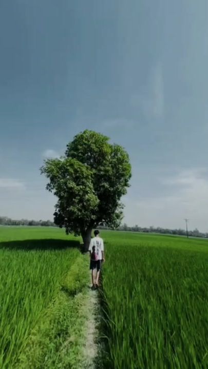 TikTok video thumbnail by user979488661