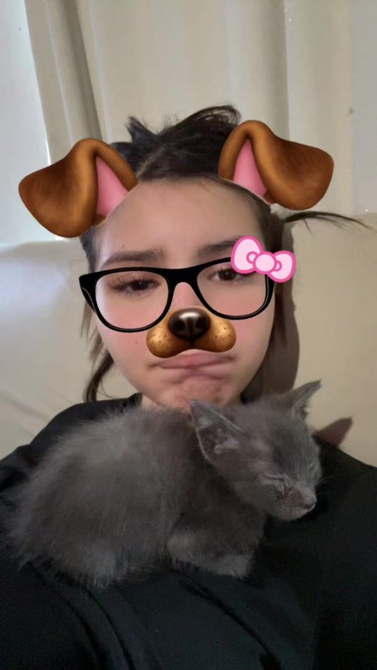 TikTok video thumbnail by mmiicami