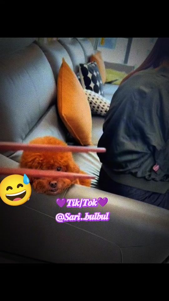 TikTok video thumbnail by sari..bulbul