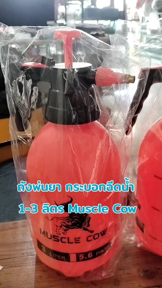 TikTok video thumbnail by kik_morakot
