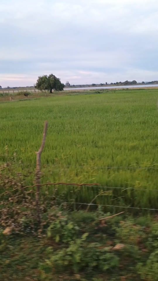 TikTok video thumbnail by userdghjkluydsshj