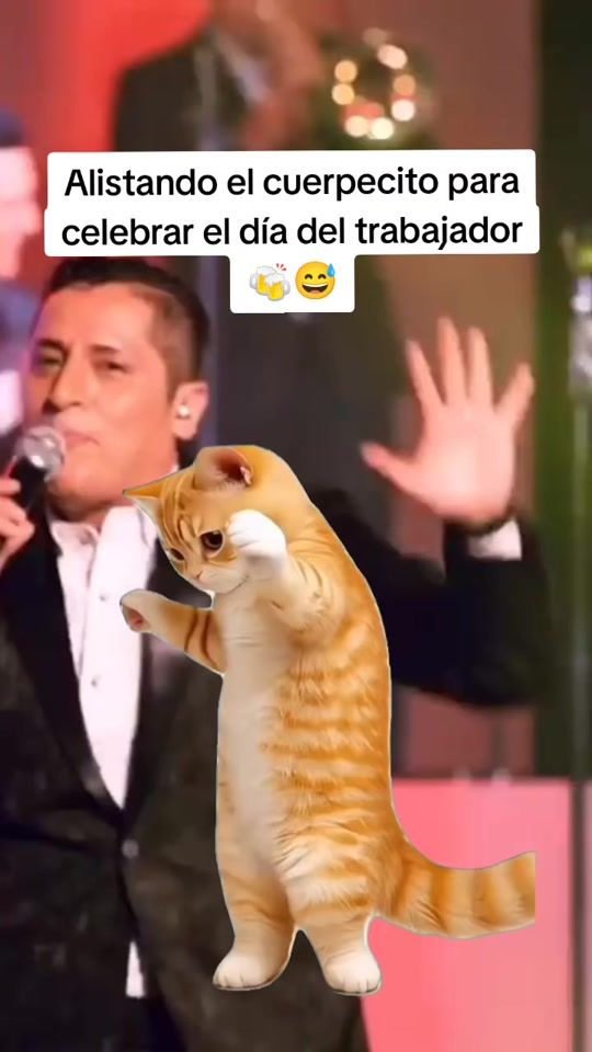 TikTok video thumbnail by araceli_09_15