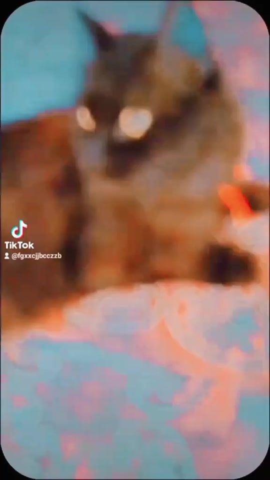 TikTok video thumbnail by dmplequeen5