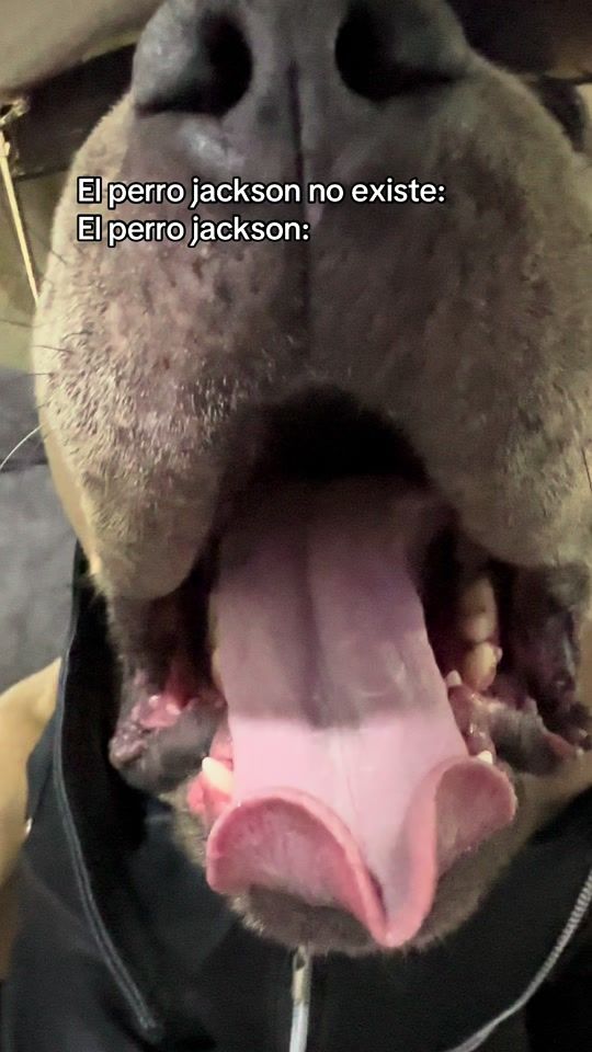 TikTok video thumbnail by vikingo606