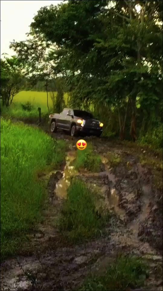 TikTok video thumbnail by _greys_21