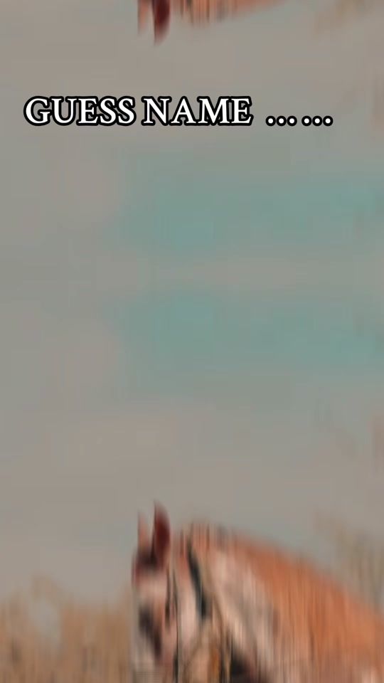 TikTok video thumbnail by malikadil0637