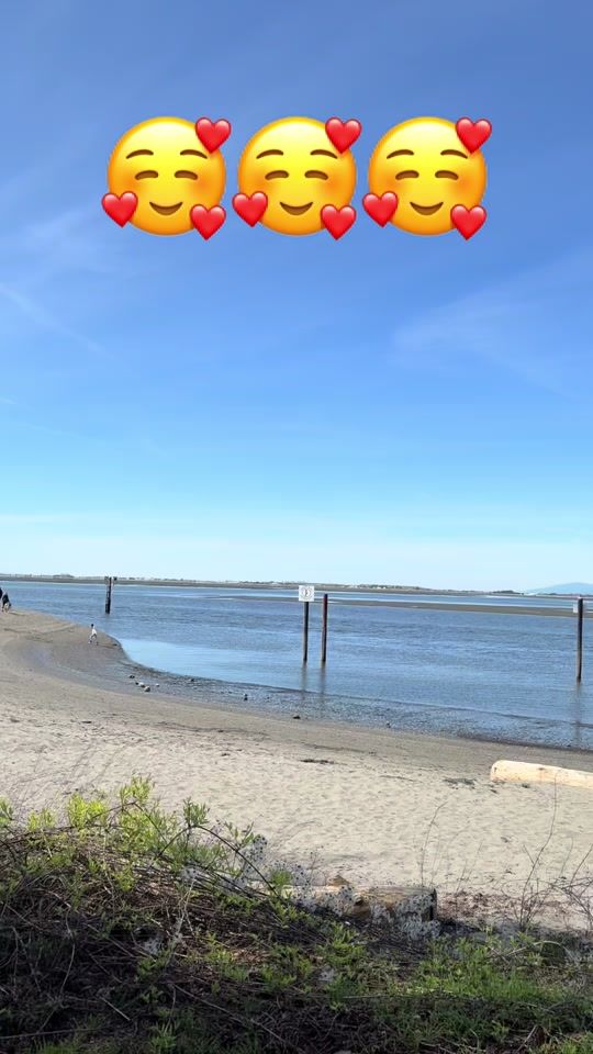 TikTok video thumbnail by kaurcanada.143