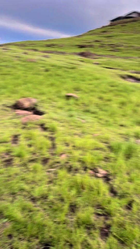 TikTok video thumbnail by ilovenelz