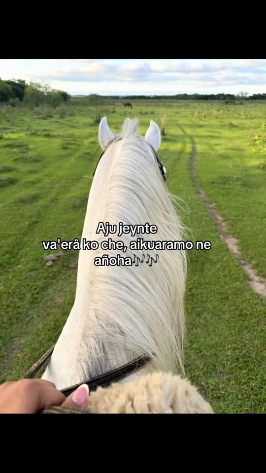 TikTok video thumbnail by fmaben
