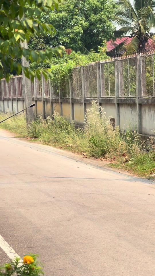 TikTok video thumbnail by wheelie_thailand