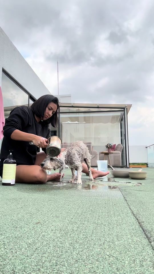 TikTok video thumbnail by rufo_y_koda