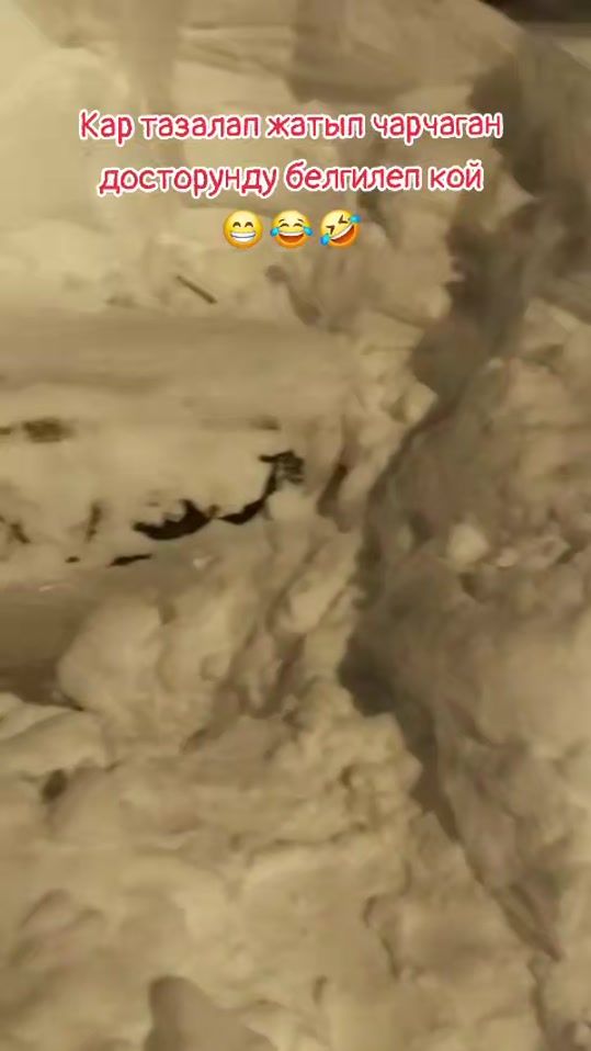 TikTok video thumbnail by tamada_actor_singer