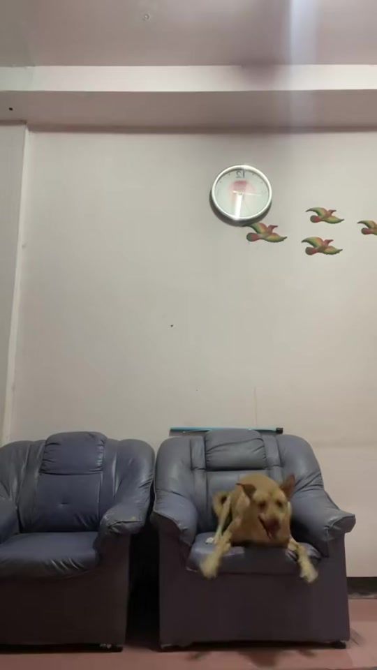 TikTok video thumbnail by plukwing4