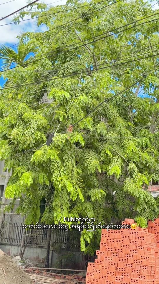 TikTok video thumbnail by time.myanmar.albu