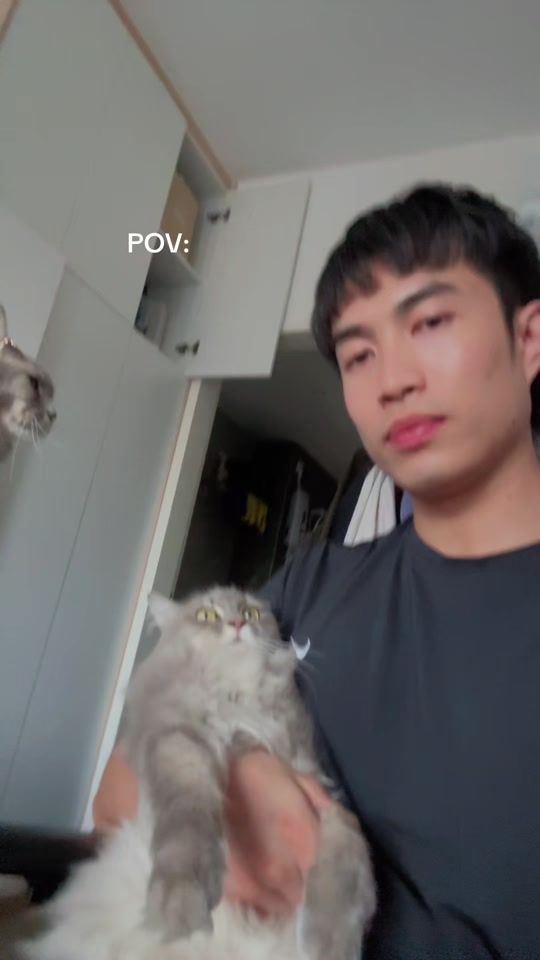 TikTok video thumbnail by iamtomsz