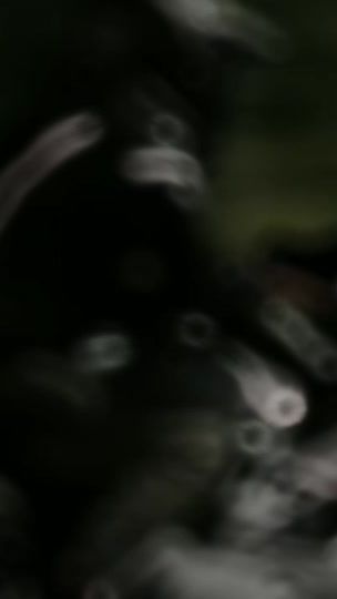 TikTok video thumbnail by lecode.error