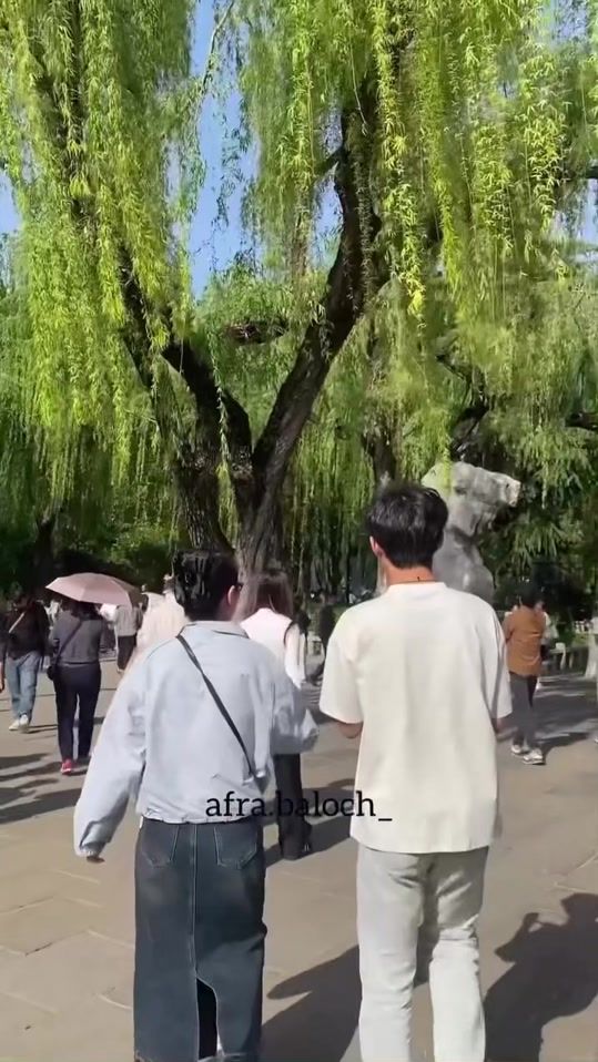 TikTok video thumbnail by emaanbaluc
