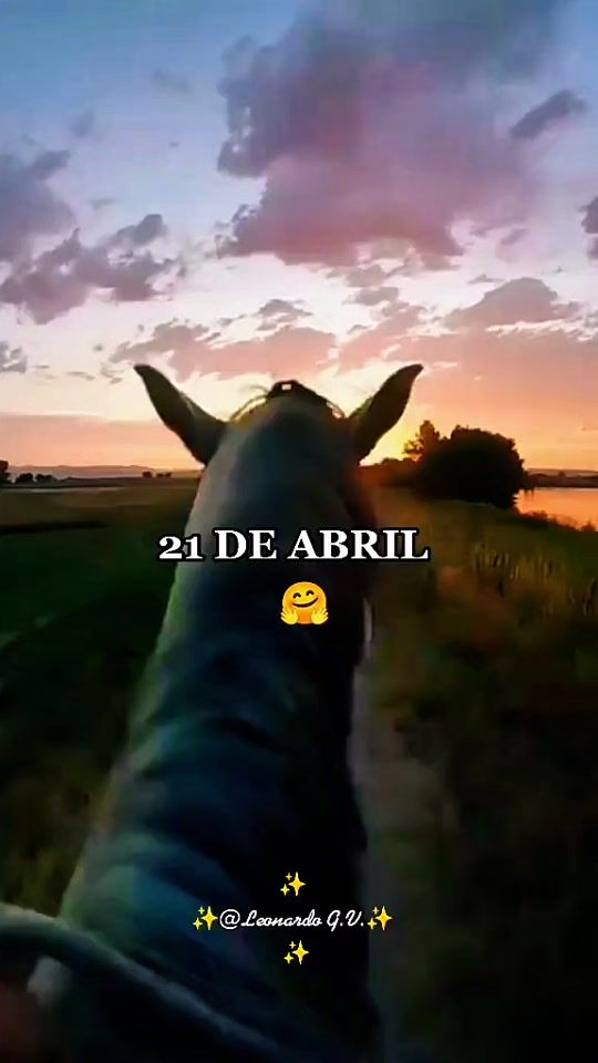 TikTok video thumbnail by leonardo..g.v
