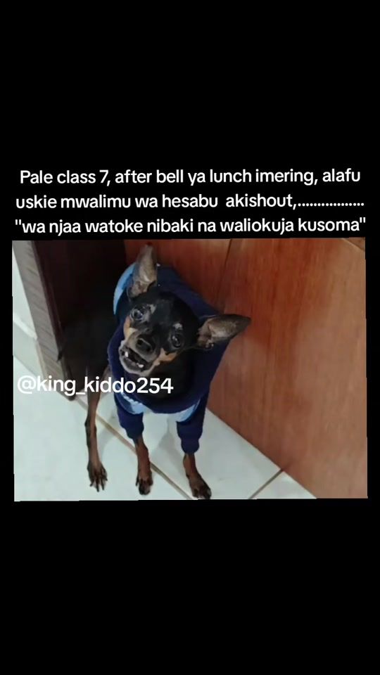 TikTok video thumbnail by king_kiddo254