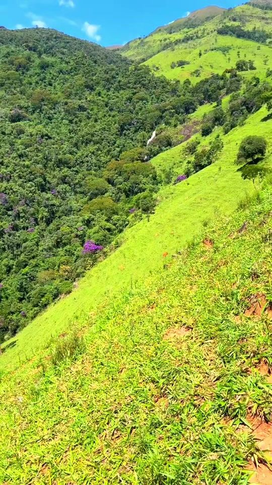 TikTok video thumbnail by elson0948