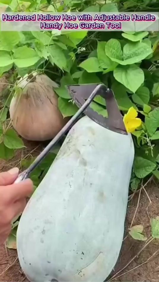 TikTok video thumbnail by globex__store_