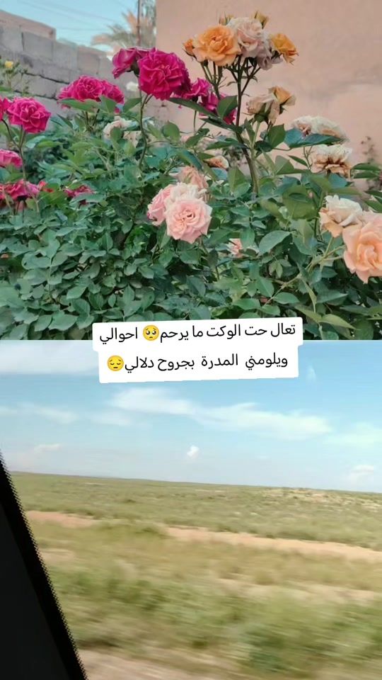 TikTok video thumbnail by zh_o_21
