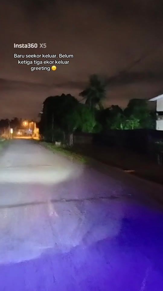 TikTok video thumbnail by annephm
