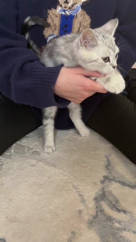 TikTok video thumbnail by special.mastery.st