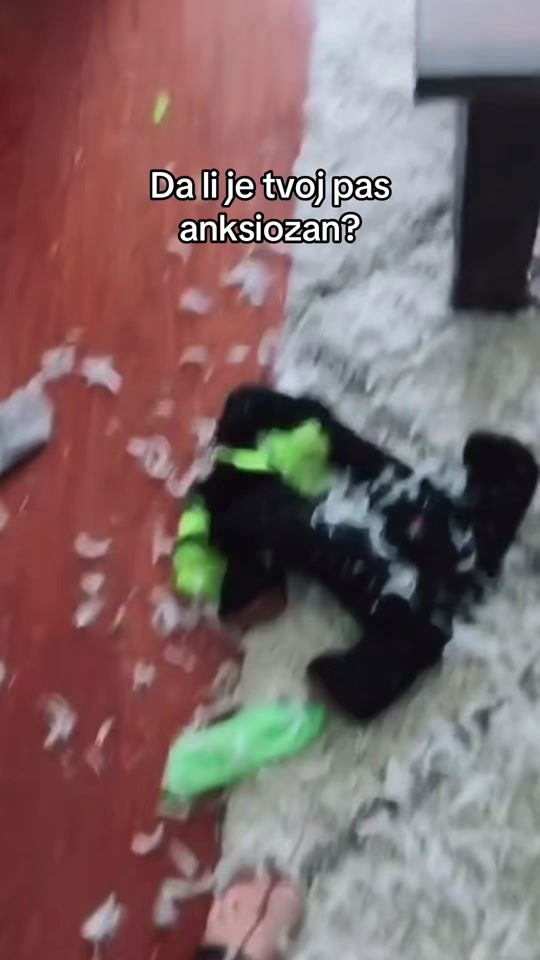 TikTok video thumbnail by petcentarsrbija