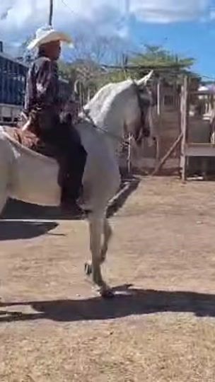 TikTok video thumbnail by wagnerzepeda
