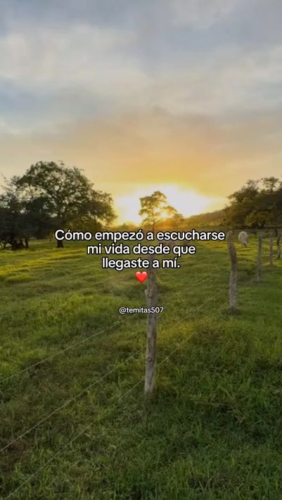 TikTok video thumbnail by camaratipiquerapty