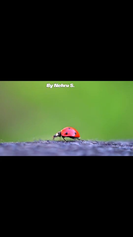 TikTok video thumbnail by promoprespa