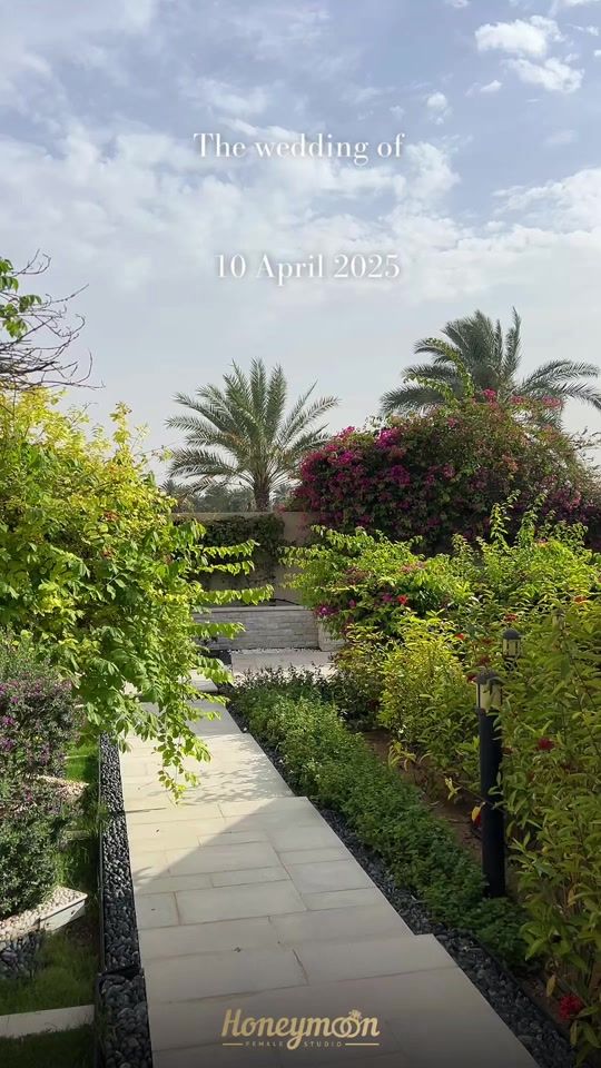 TikTok video thumbnail by honeymoon.studio