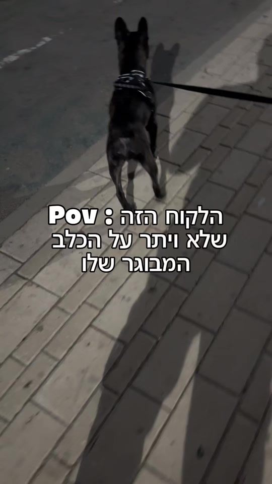 TikTok video thumbnail by dor2dogs