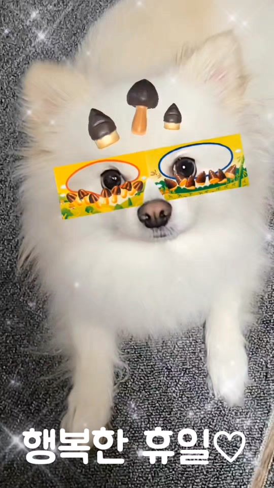 TikTok video thumbnail by user9101011333429