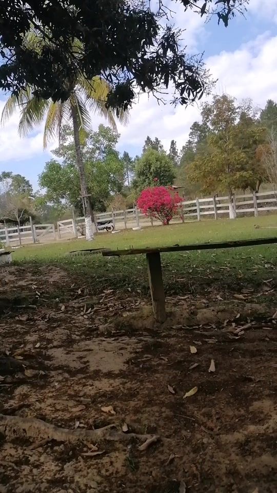 TikTok video thumbnail by melvin.sosa64