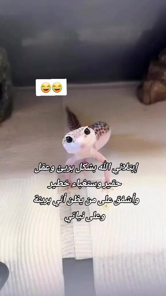 TikTok video thumbnail by foufa.fm