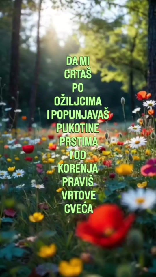 TikTok video thumbnail by silver_lady.rs