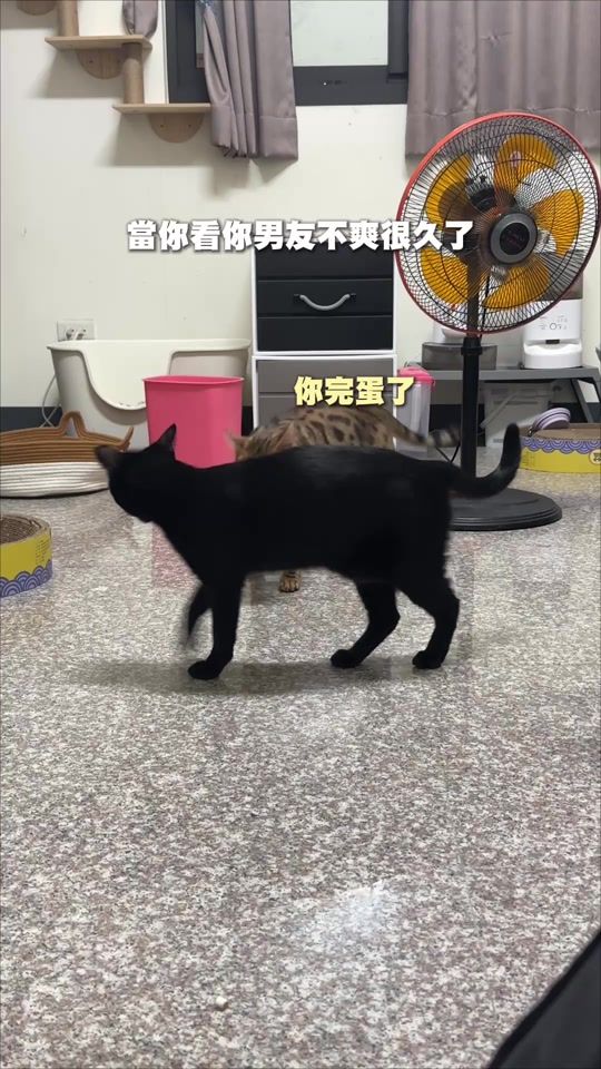 TikTok video thumbnail by cattt.w