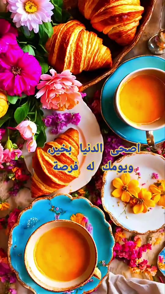 TikTok video thumbnail by abu_hussam47